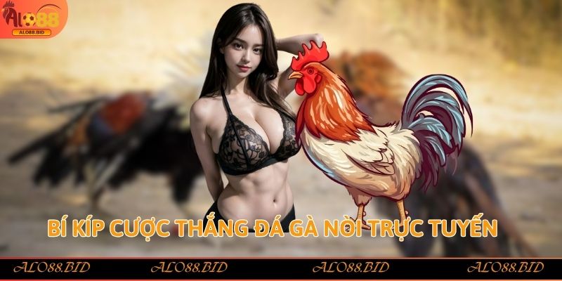Bí kíp cược thắng đá gà nòi trực tuyến