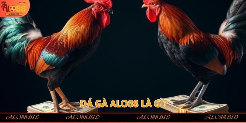 Đá gà Alo88 là gì?
