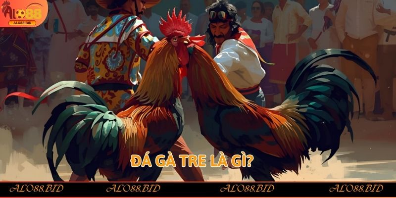 Đá gà tre là gì?