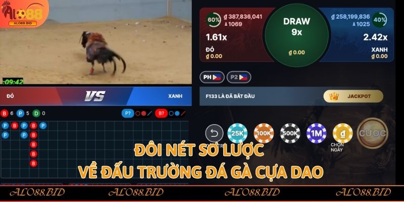 Đôi nét sơ lược về đấu trường đá gà cựa dao