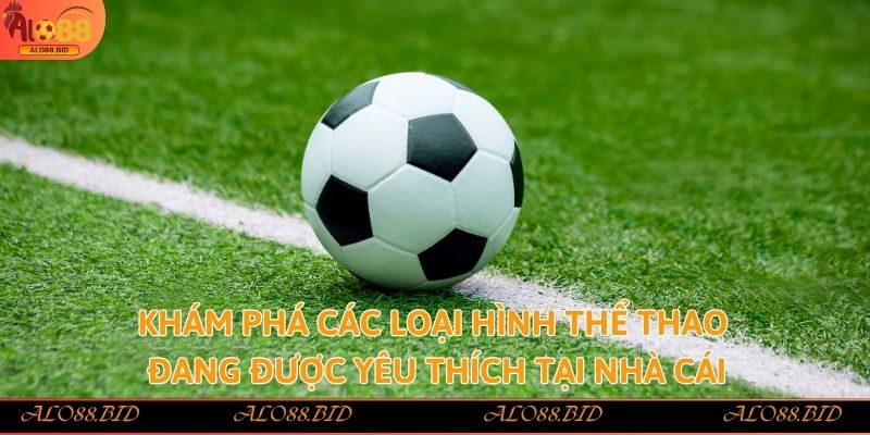 Khám phá các loại hình thể thao đang được yêu thích tại nhà cái